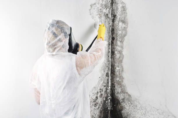 Best Carpet water damage restoration  in Shepherd, TX